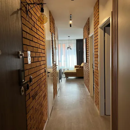 公寓 Lts Rent Luxury & Comfortable Lakowa 格但斯克